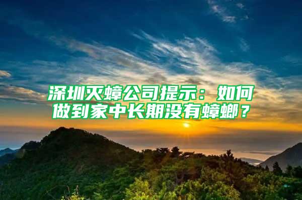 深圳滅蟑公司提示:如何做到家中長期沒有蟑螂?