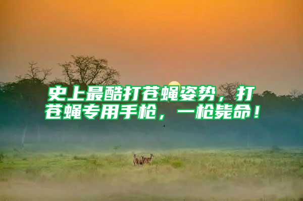 史上最酷打蒼蠅姿勢，打蒼蠅專用手槍，一槍斃命！