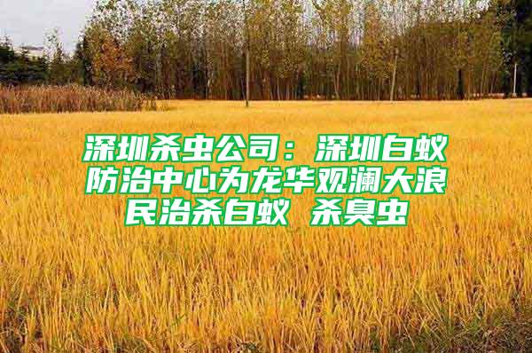 深圳殺蟲公司：深圳白蟻防治中心為龍華觀瀾大浪民治殺白蟻 殺臭蟲