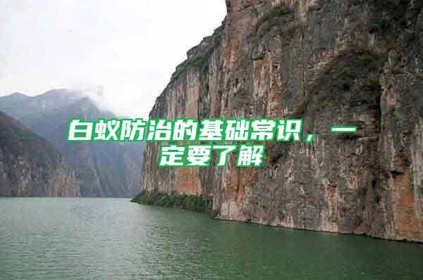 白蟻防治的基礎常識,一定要了解