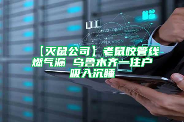 【滅鼠公司】老鼠咬管線燃氣漏 烏魯木齊一住戶吸入沉睡