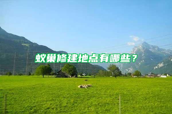 蟻巢修建地點(diǎn)有哪些?