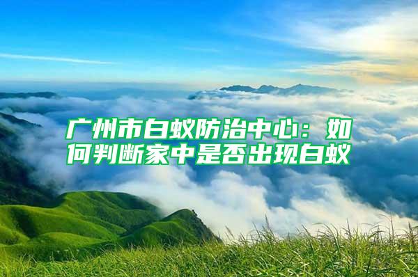 廣州市白蟻防治中心:如何判斷家中是否出現(xiàn)白蟻