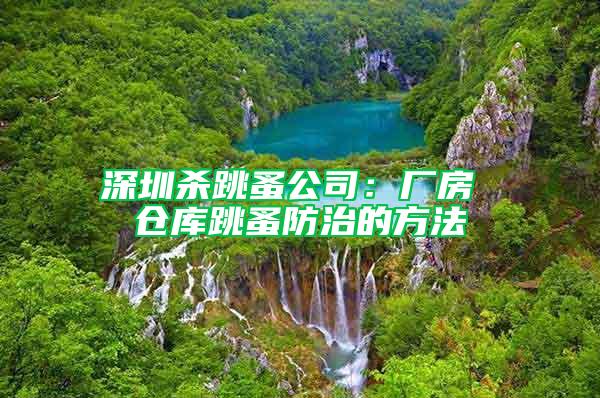 深圳殺跳蚤公司:廠房 倉庫跳蚤防治的方法