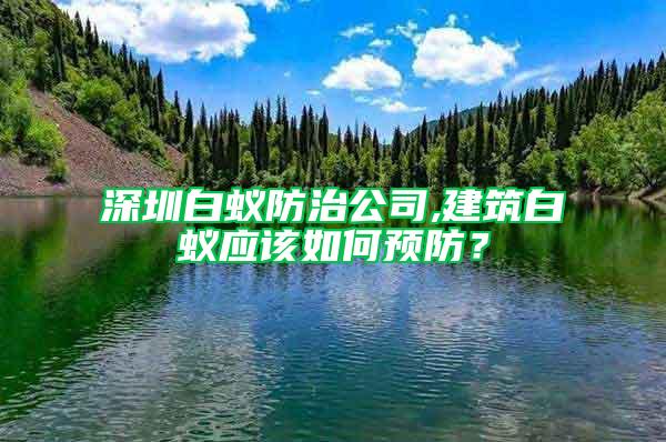 深圳白蟻防治公司,建筑白蟻應(yīng)該如何預(yù)防？
