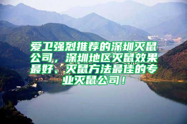 愛衛(wèi)強烈推薦的深圳滅鼠公司,深圳地區(qū)滅鼠效果最好、滅鼠方法最佳的專業(yè)滅鼠公司!