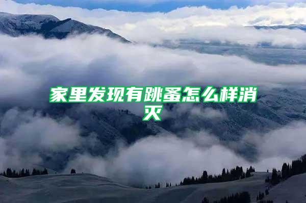 家里發現有跳蚤怎么樣消滅