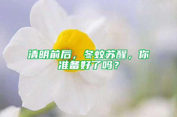 清明前后，冬蚊蘇醒，你準備好了嗎？