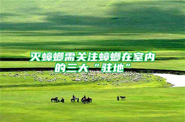 滅蟑螂需關(guān)注蟑螂在室內(nèi)的三大“駐地”