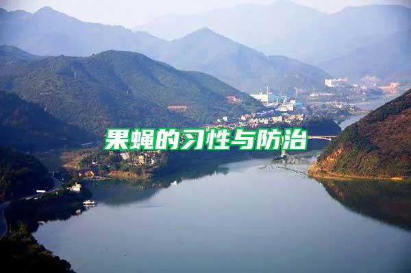 果蠅的習性與防治