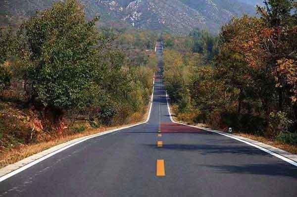 家里發現螞蟻怎么辦？怎么消滅螞蟻？