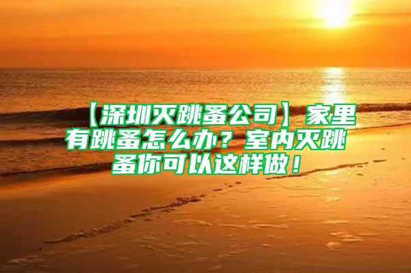 【深圳滅跳蚤公司】家里有跳蚤怎么辦？室內滅跳蚤你可以這樣做！