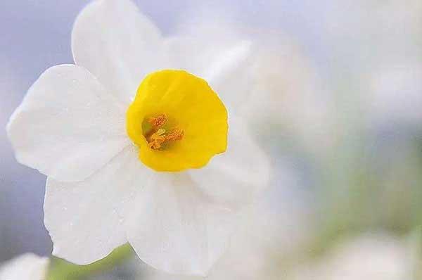 幼兒園防蟲要怎么做?消殺公司來教你