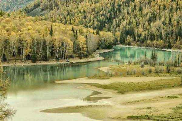 如何正確消滅進入家里的螞蟻?專業滅螞蟻公司告訴你