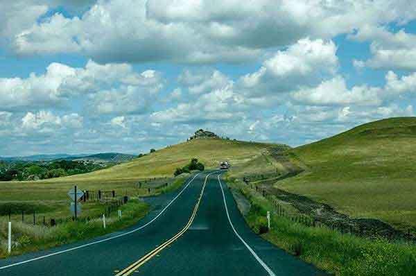 專業滅蠅公司蒼蠅的綜合防