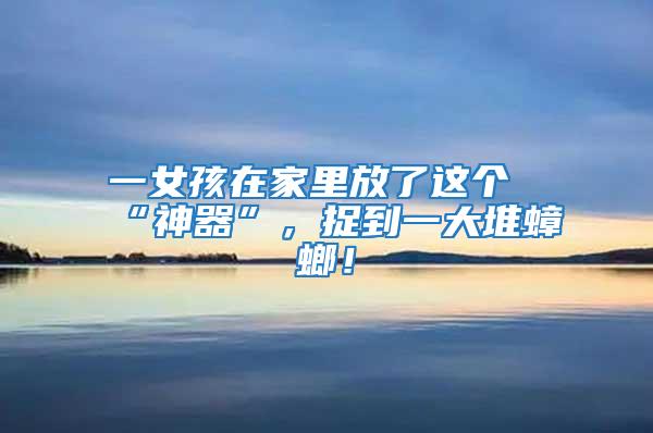 一女孩在家里放了這個“神器”,捉到一大堆蟑螂!