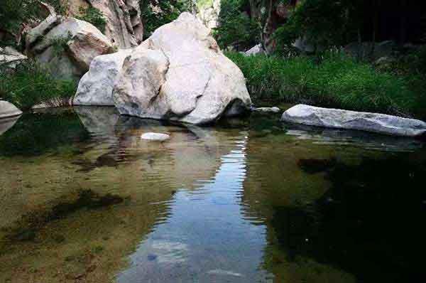 春季愛國衛(wèi)生運(yùn)動(dòng),你“除四害”了嗎?