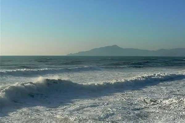 夏天,你還得提防這種蟲子,被咬后可能致命