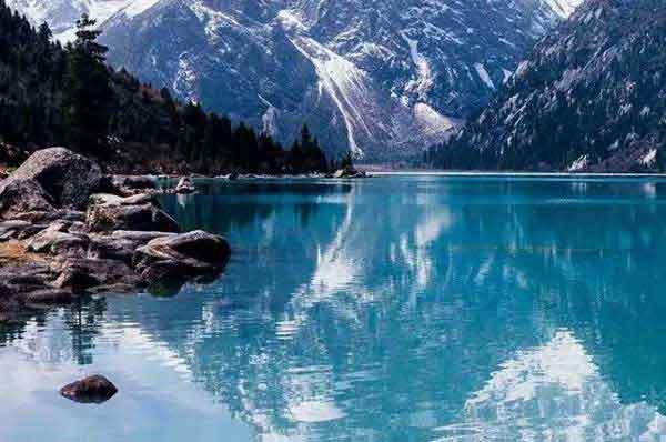 該不該用吸塵器治理臭蟲，這是一個(gè)問題！