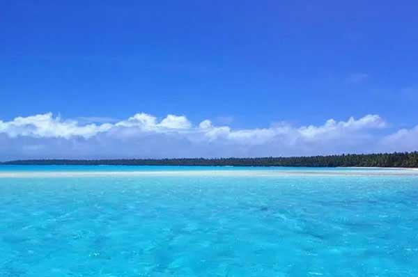 消滅蒼蠅最好方法,除蟲公司幫你