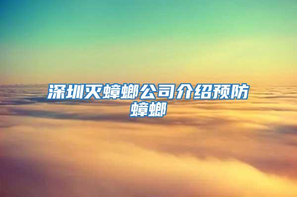 深圳滅蟑螂公司介紹預防蟑螂