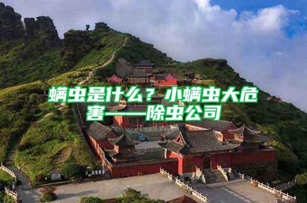 螨蟲是什么?小螨蟲大危害——除蟲公司