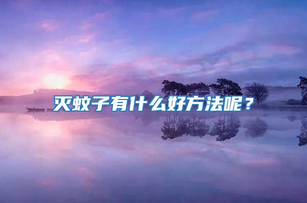 滅蚊子有什么好方法呢？