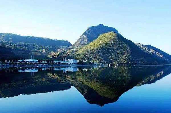 殺蟲公司與人民生產生活息息相關