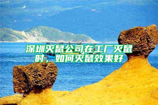 深圳滅鼠公司在工廠滅鼠時,如何滅鼠效果好