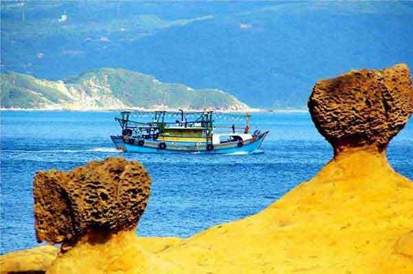 常見的滅鼠方法大全，你家里或許會用得上