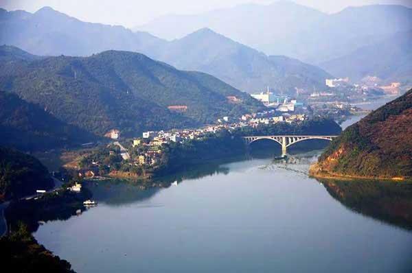 如何選擇專業的殺蟲公司?