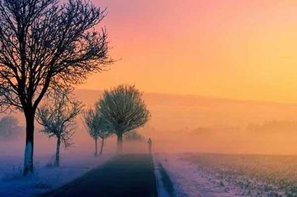 蚊子腸道里做文章!上海科學家找到阻斷傳播瘧疾新方法!