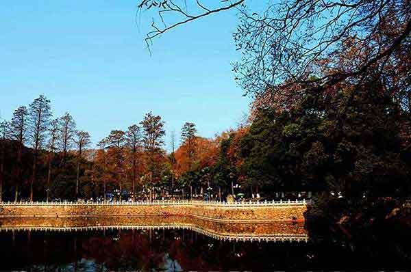 晚上睡覺出來咬人吸血的蟲子,發(fā)現(xiàn)黑色小蟲是臭蟲,如何有效的滅臭蟲的方法