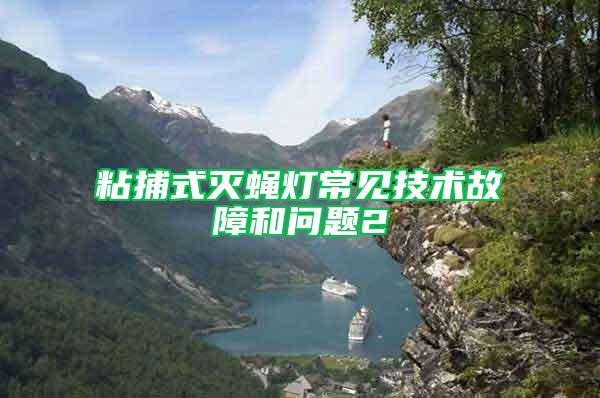 粘捕式滅蠅燈常見技術(shù)故障和問題2