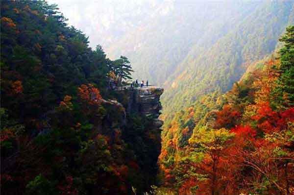 圖解：高考防疫，專家來支招