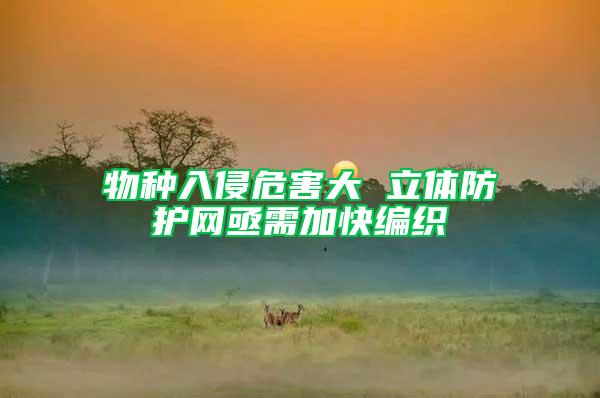 物種入侵危害大 立體防護網亟需加快編織