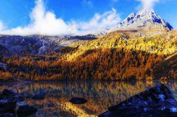 除四害公司綜合治理蚊蟲的要點(diǎn)