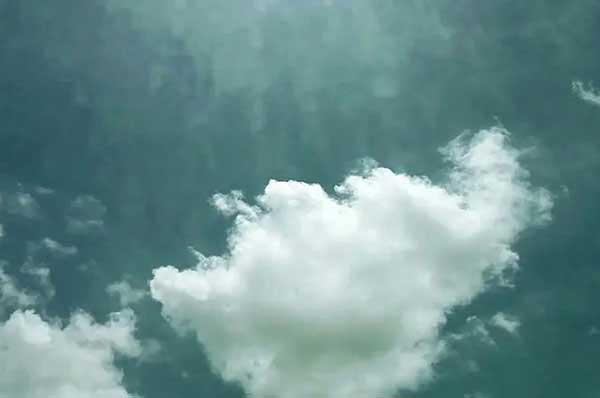 家庭滅鼠,這些方法請收藏!