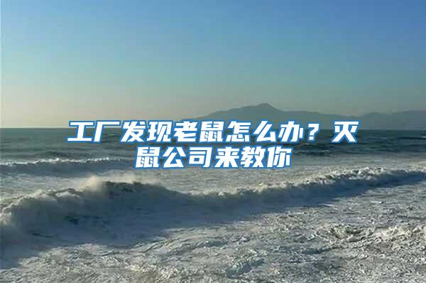 工廠發現老鼠怎么辦?滅鼠公司來教你