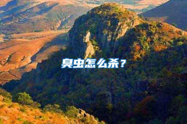 臭蟲怎么殺？