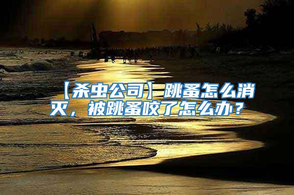 【殺蟲公司】跳蚤怎么消滅，被跳蚤咬了怎么辦？