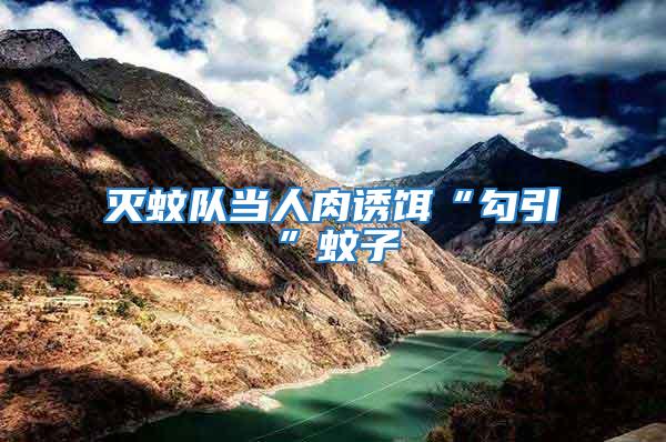 滅蚊隊當人肉誘餌“勾引”蚊子