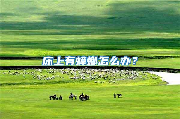 床上有蟑螂怎么辦?