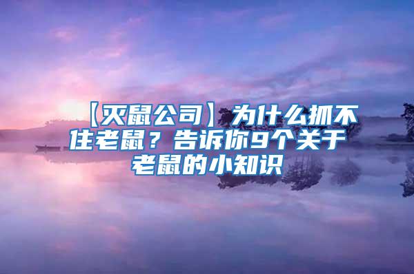【滅鼠公司】為什么抓不住老鼠？告訴你9個關于老鼠的小知識