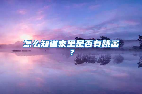 怎么知道家里是否有跳蚤？