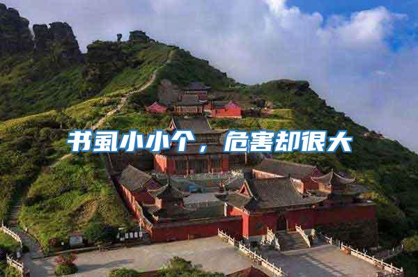 書虱小小個，危害卻很大