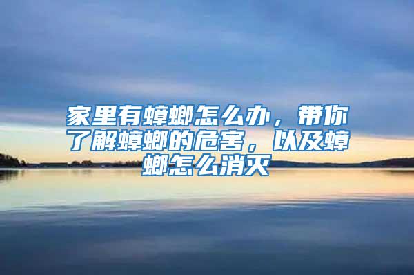 家里有蟑螂怎么辦,帶你了解蟑螂的危害,以及蟑螂怎么消滅