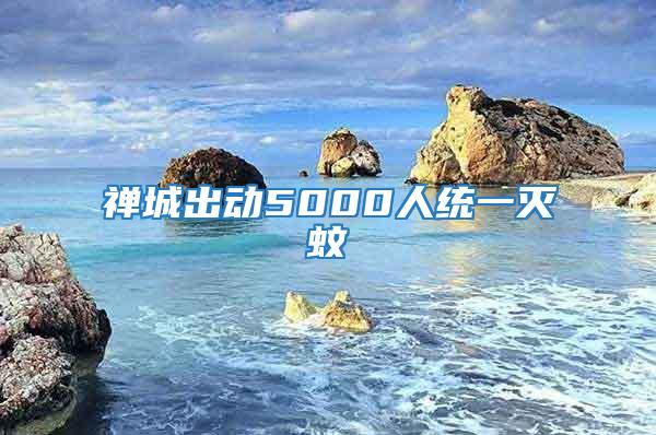禪城出動5000人統一滅蚊