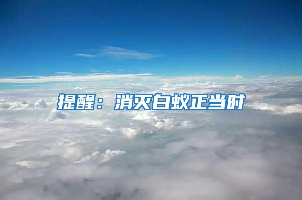提醒:消滅白蟻正當時