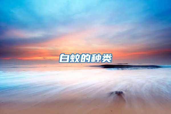 白蚊的種類(lèi)
